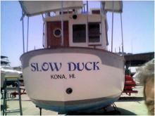 Slow Duck