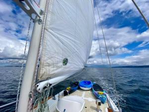 Moon Jelly - The steadying sail really works.