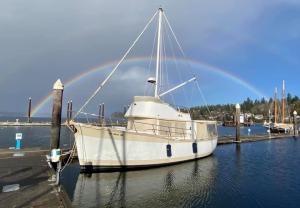 Malaya at her new home in Olympia, Wa. [J. Caples, 12-9-20, FB post]