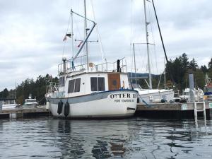 Otter II