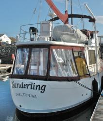 Sanderling